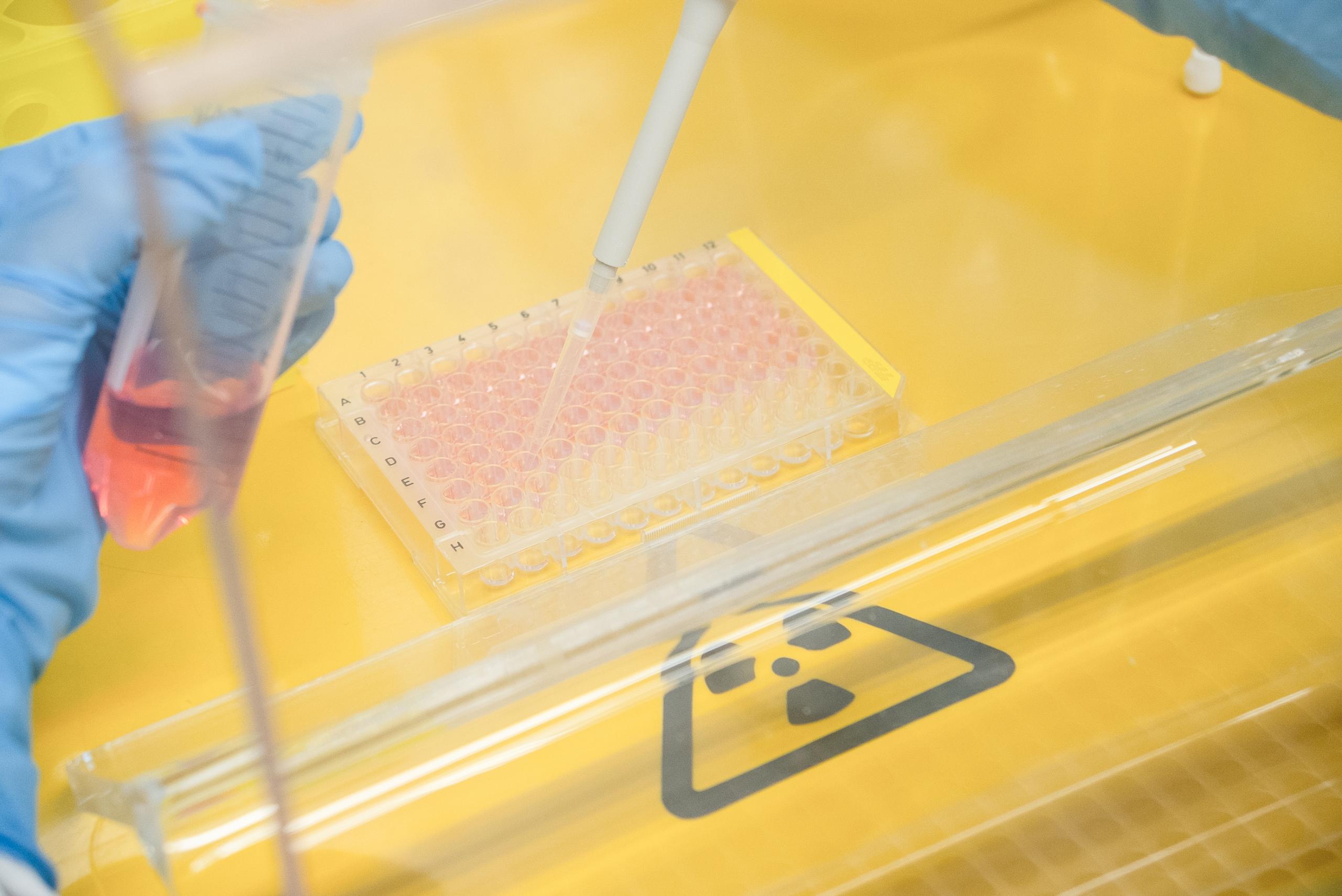 Scientists working under a cell culture hood in a radiochemical laboratory environment.