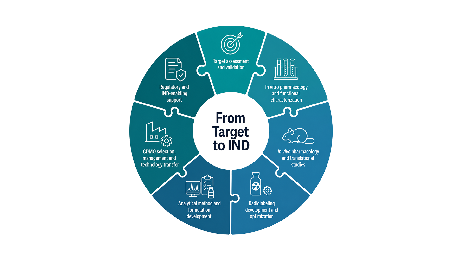 Graphic illustrating service offerings supporting radiopharmaceutical development from target discovery to IND readiness.