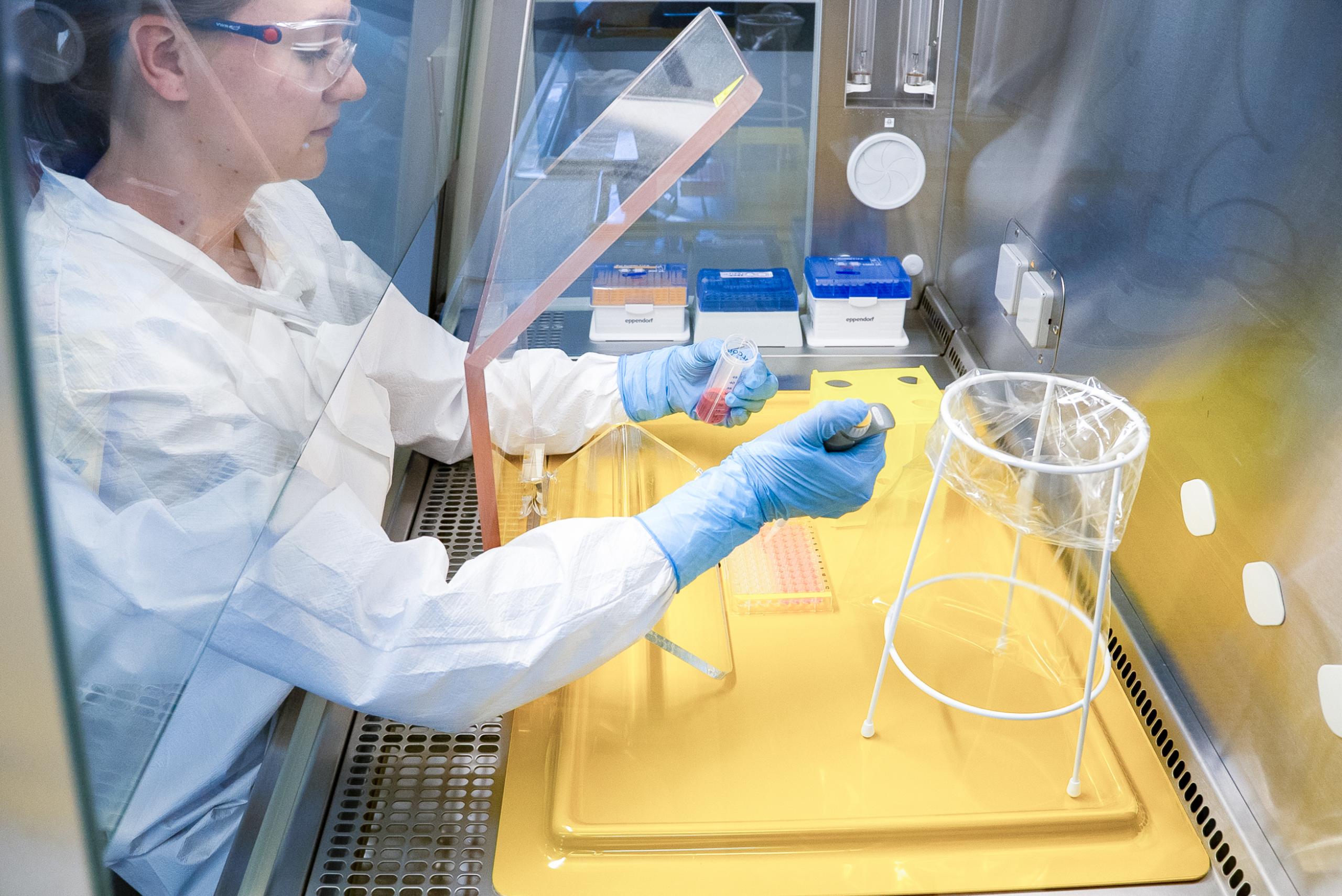 Scientist preparing a radiobiological cellular assay in the laboratory.
