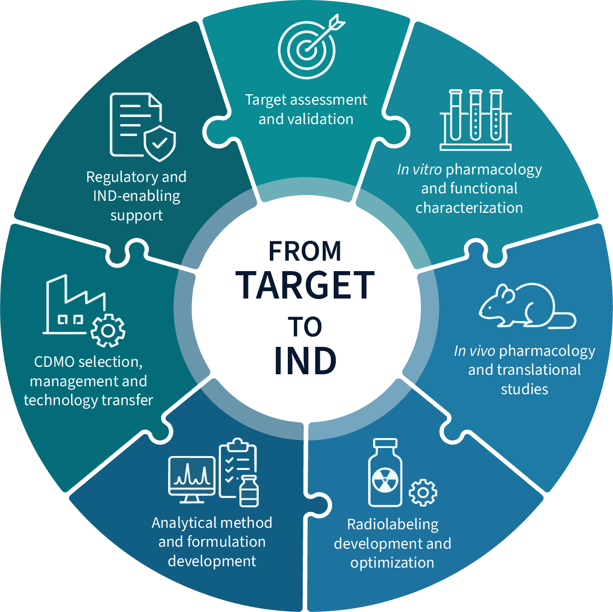 Graphic illustrating service offerings supporting radiopharmaceutical development from target discovery to IND readiness.